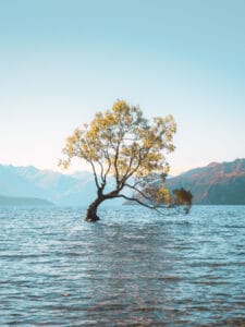Malerischer Blick auf den Lake Wanaka im Sommer – Neuseelands Bilderbuchkulisse