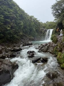 Tawhai Falls Walk