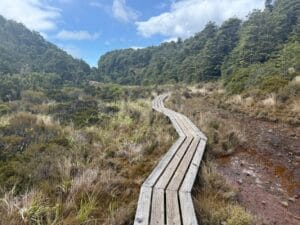 Silica Rapids – Ein Naturwunder im Tongariro NationalPark